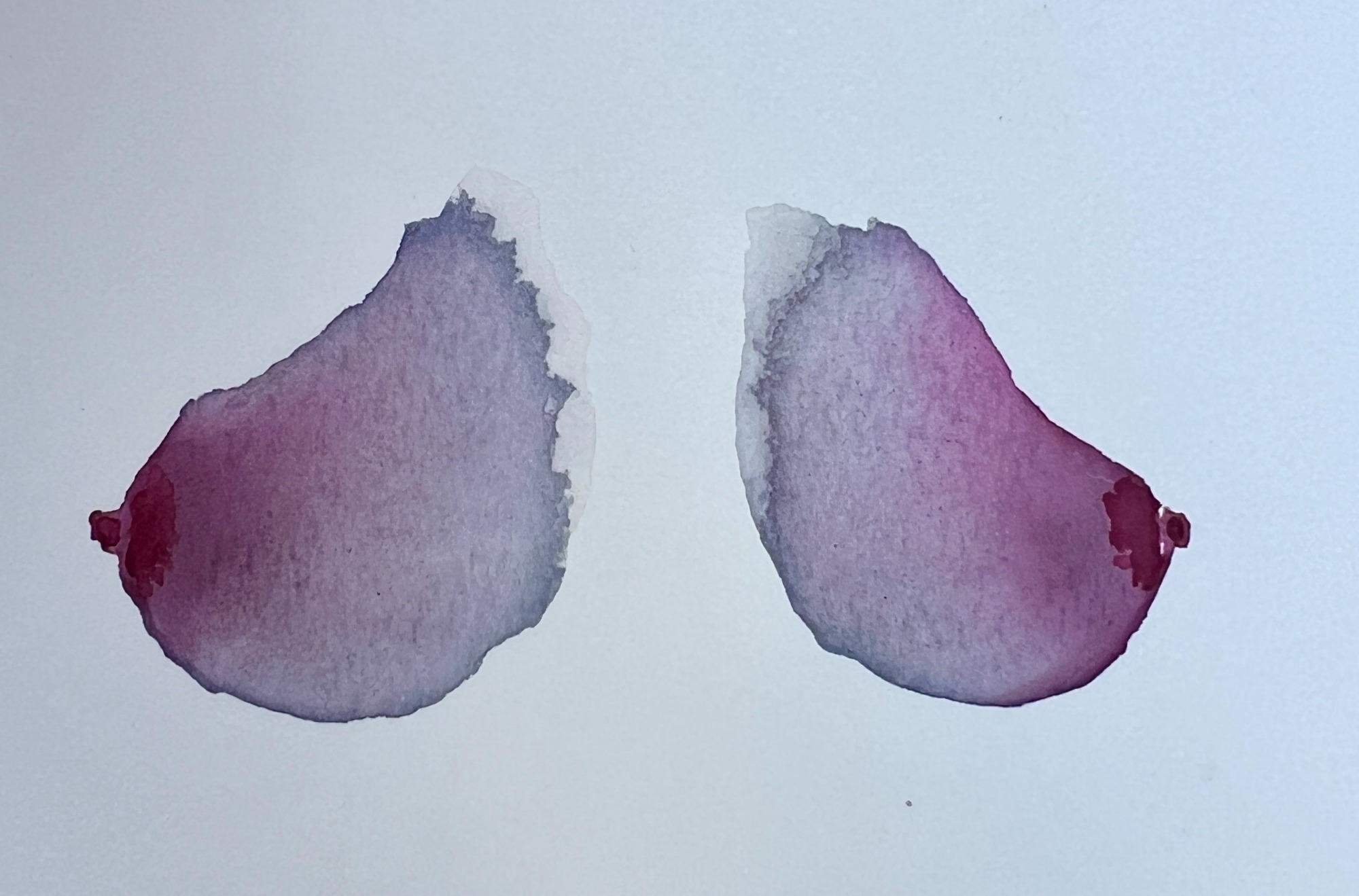 image — aquarelle au vin rouge — Art DiVino, La Londe-les-Maures
