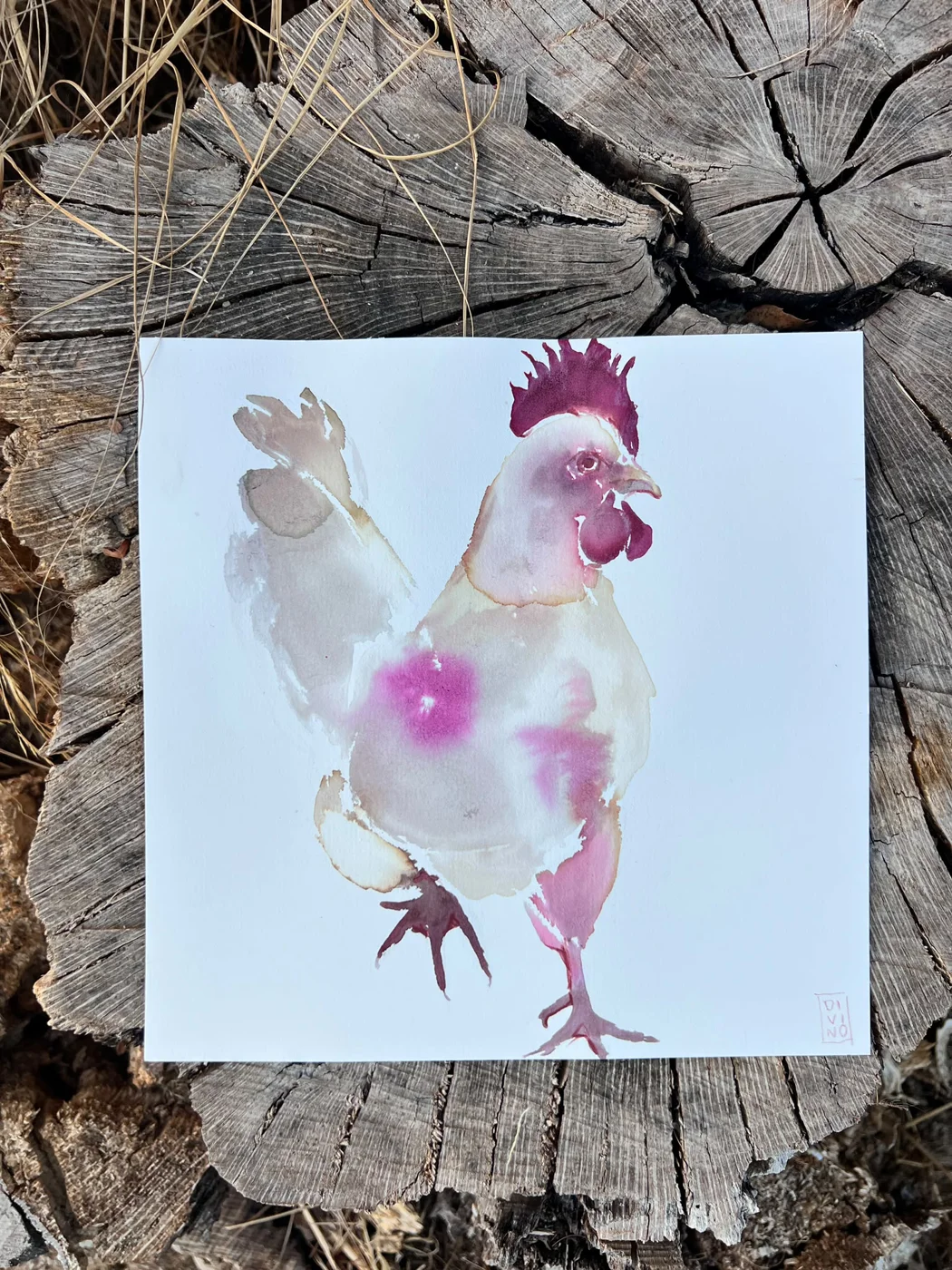 Gallina — aquarelle au vin rouge — Art DiVino, La Londe-les-Maures