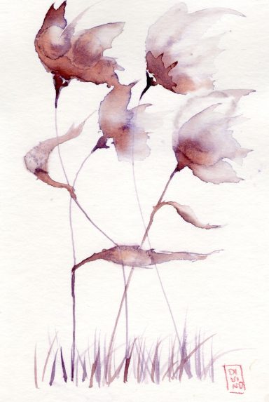 Fleurs dans le vin 10x15, aquarelles au vin, winarelle, vinarelli 