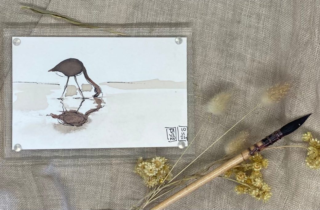 Oiseau marchant près de l'eau, reflet visible sur la surface, pinceau à côté.